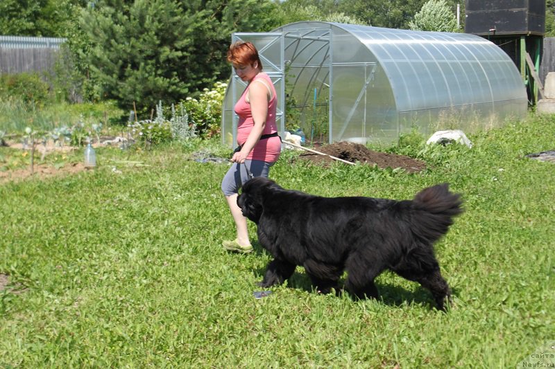 Фотография № 157694