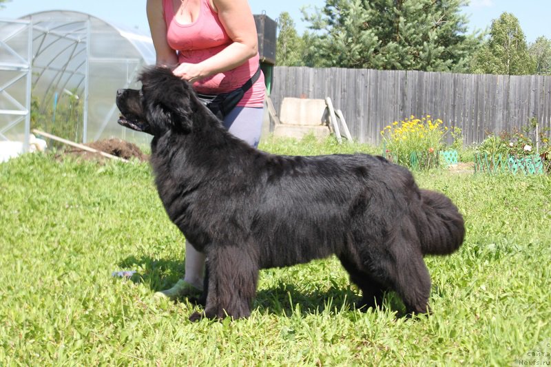 Фотография № 157696