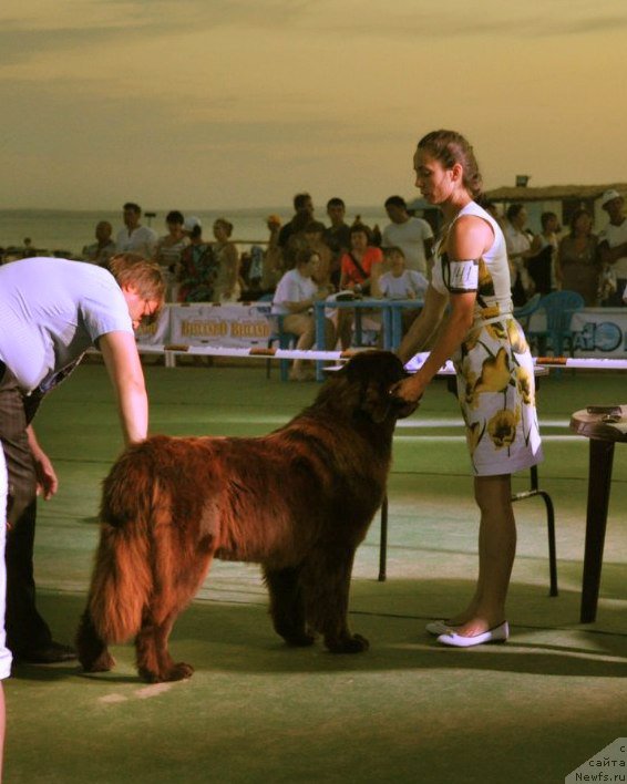 Фотография № 157732