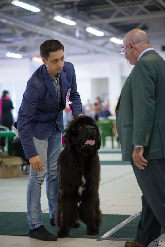 Фотография № 157736