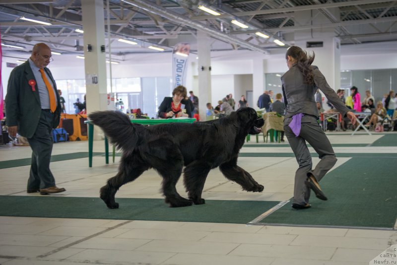 Фотография № 157739