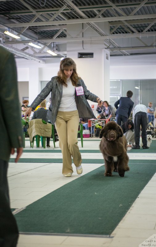 Фотография № 157740