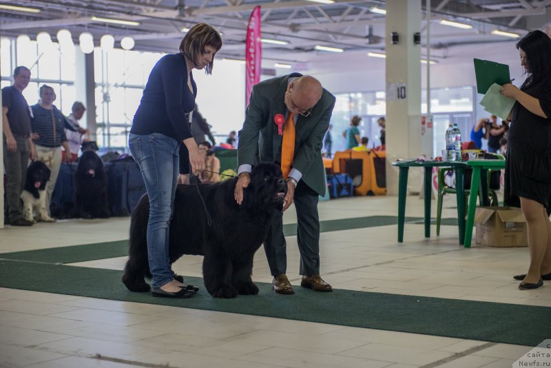 Фотография № 157742