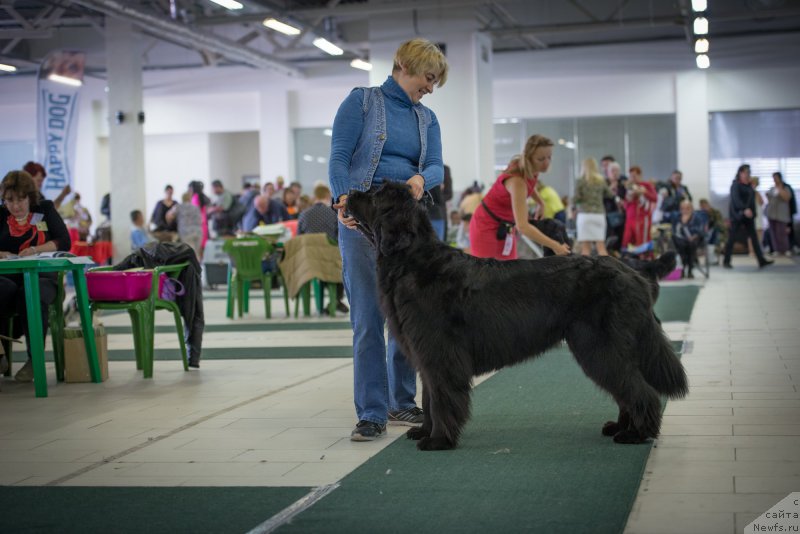 Фотография № 157746