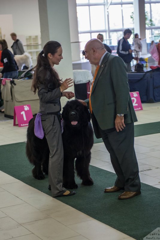 Фотография № 157752