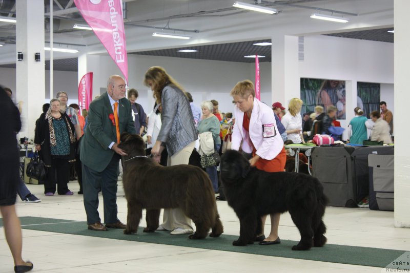 Фотография № 157754