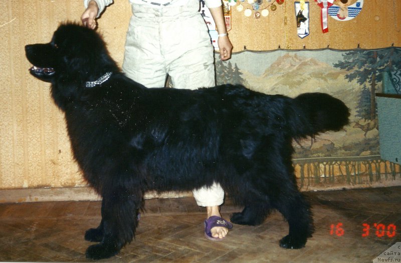 Фотография № 157759