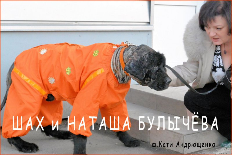 Фото: Наталья Булычёва, ШАХ