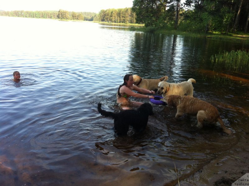 Фотография № 157790