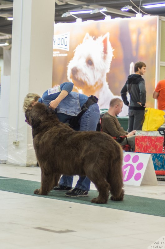 Фотография № 157796