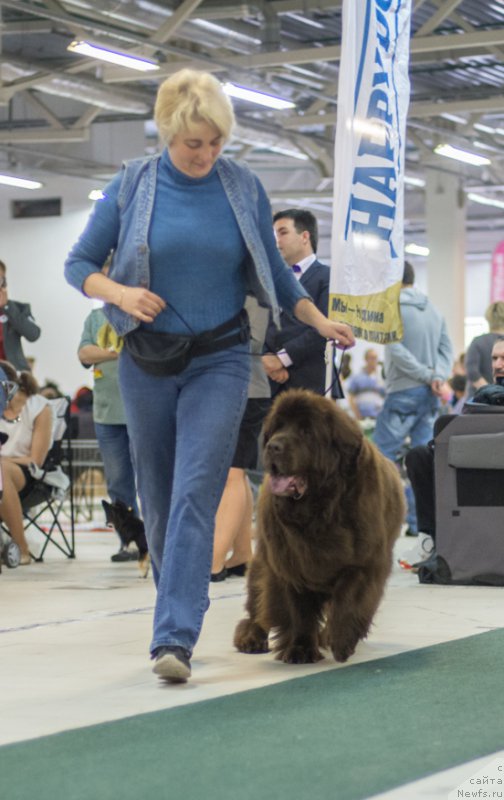 Фотография № 157798