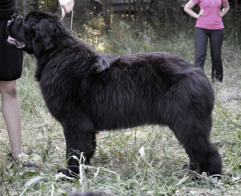 Фотография № 157834