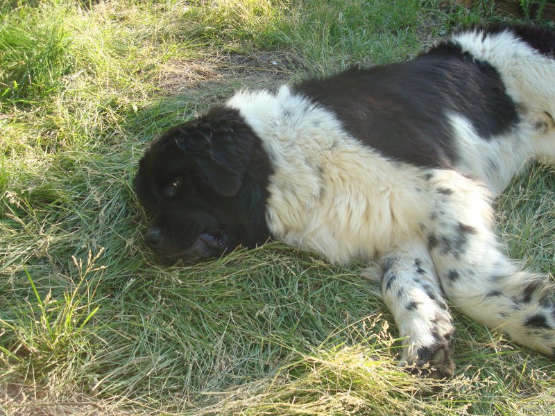 Фотография № 157835