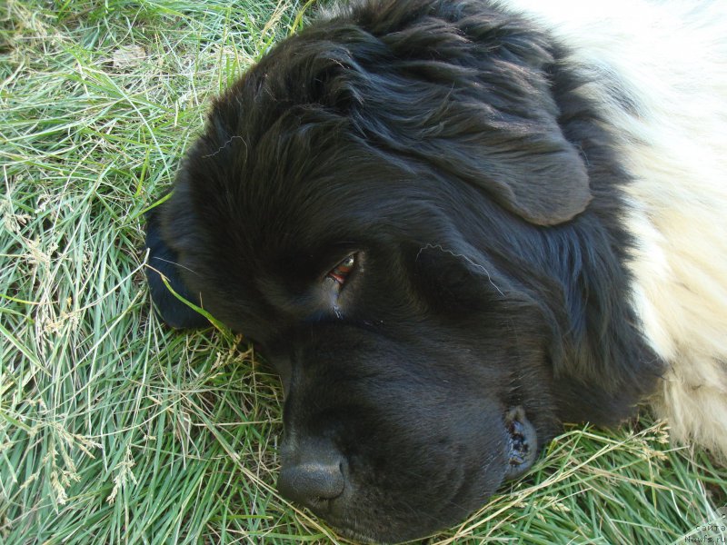 Фотография № 157836