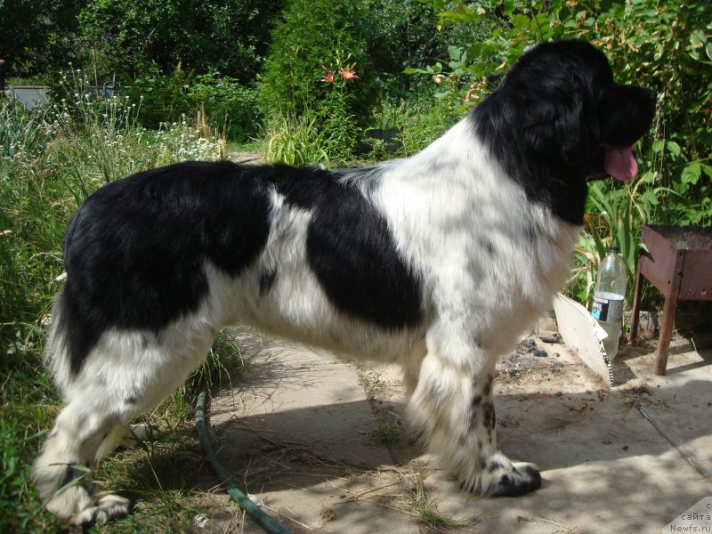 Фотография № 157838