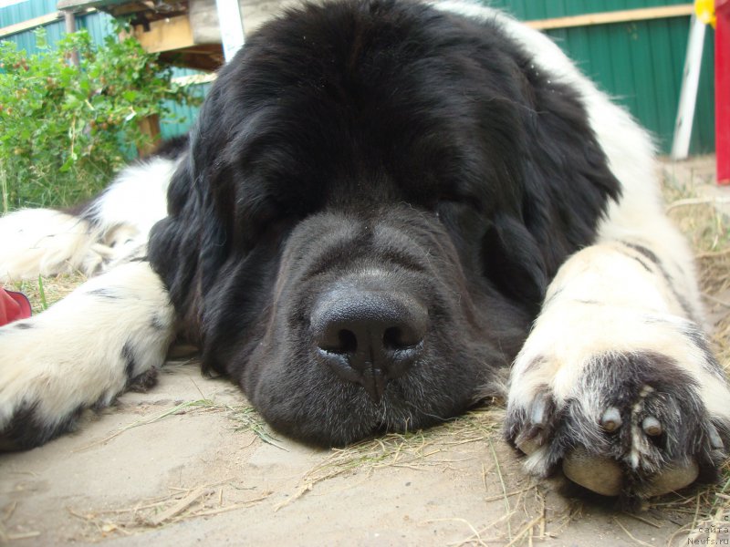 Фотография № 157839