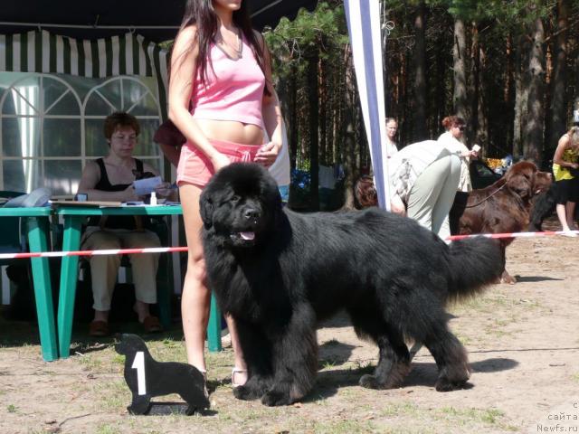 Фотография № 15785