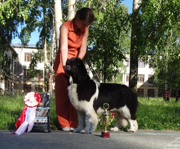 Фотография № 157862