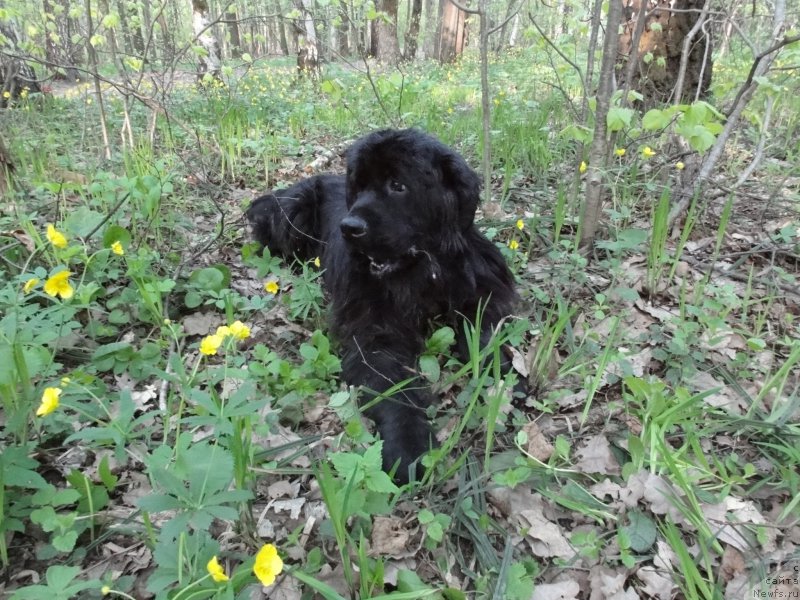 Фотография № 157875