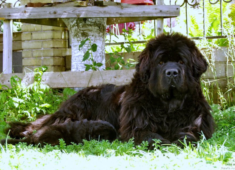 Фотография № 157900