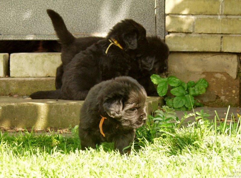 Фотография № 157901