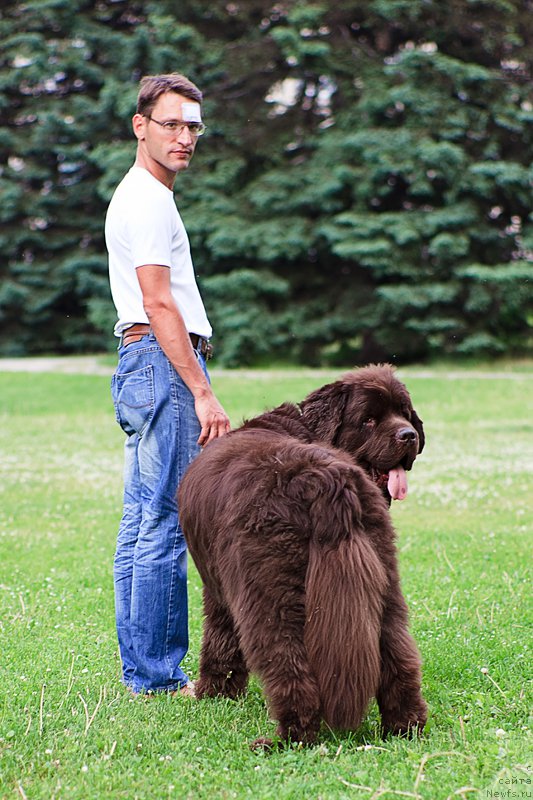 Фото: ньюфаундленд Исполин из Царства Медведей, Ян Загорских