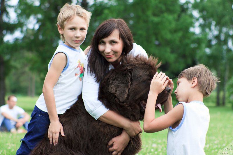 Фотография № 157916