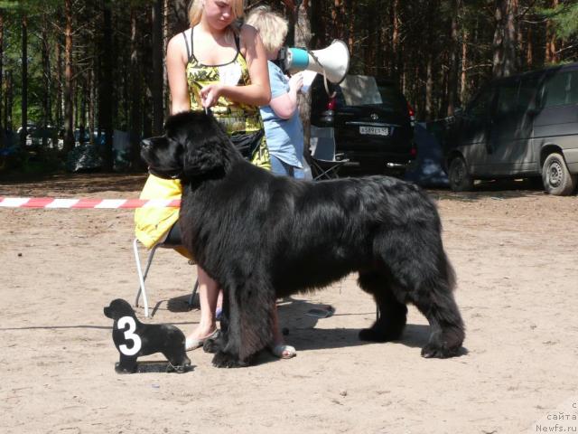 Фотография № 15793