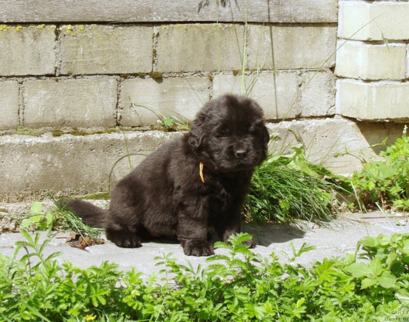 Фотография № 157933