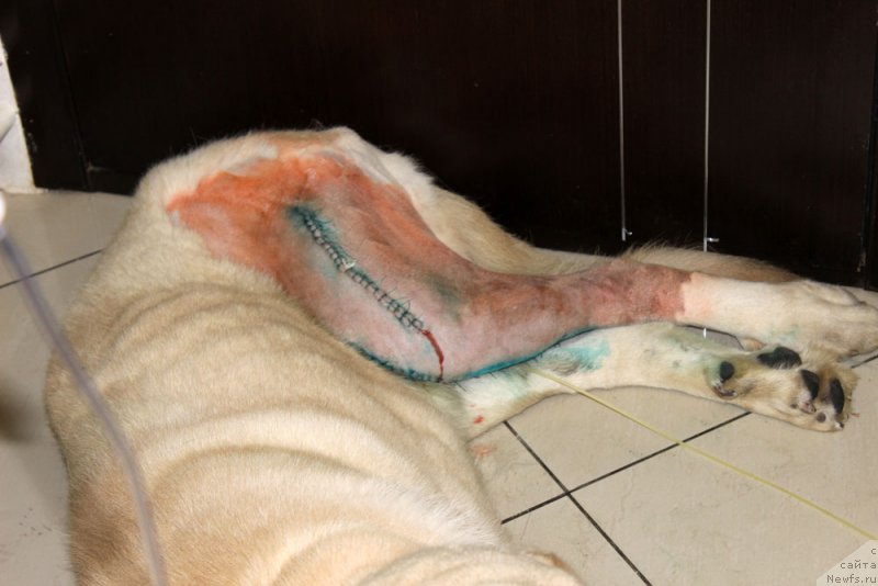 Фотография № 157946