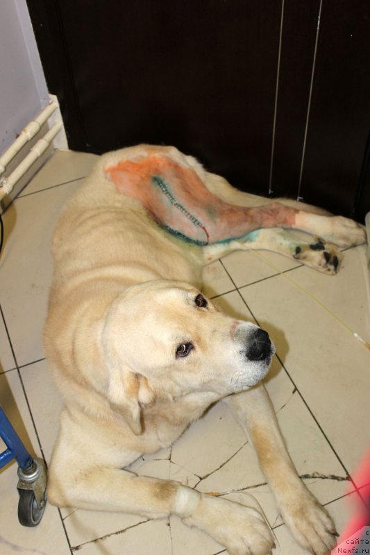 Фотография № 157948