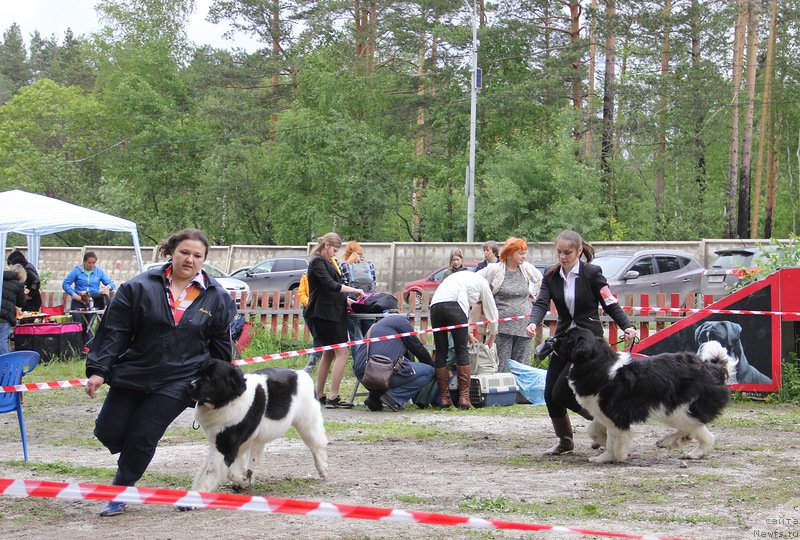 Фотография № 157950