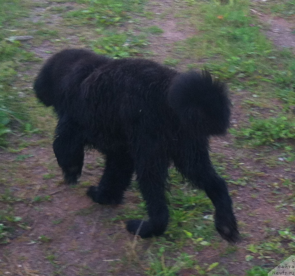 Фотография № 157955