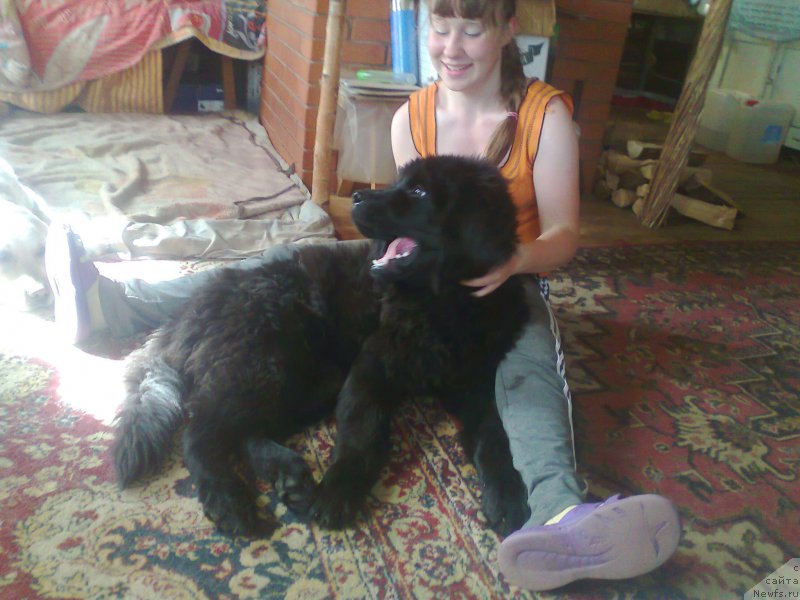 Фотография № 157958