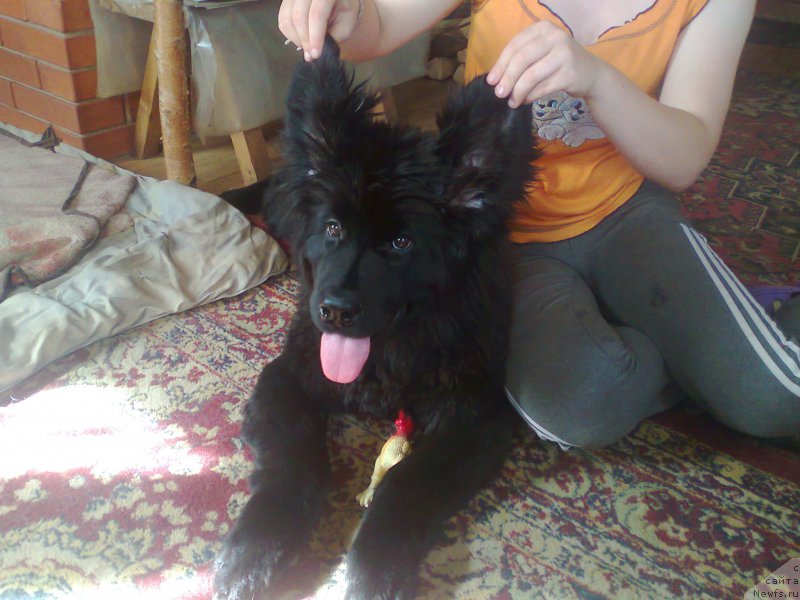 Фотография № 157959