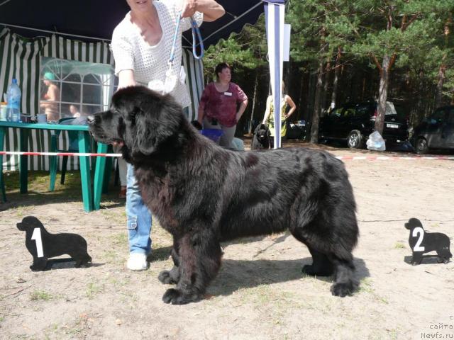 Фотография № 15796