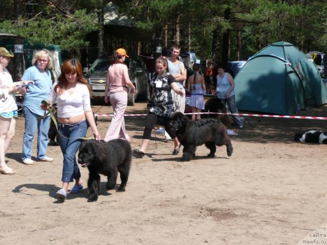 Фотография № 15798