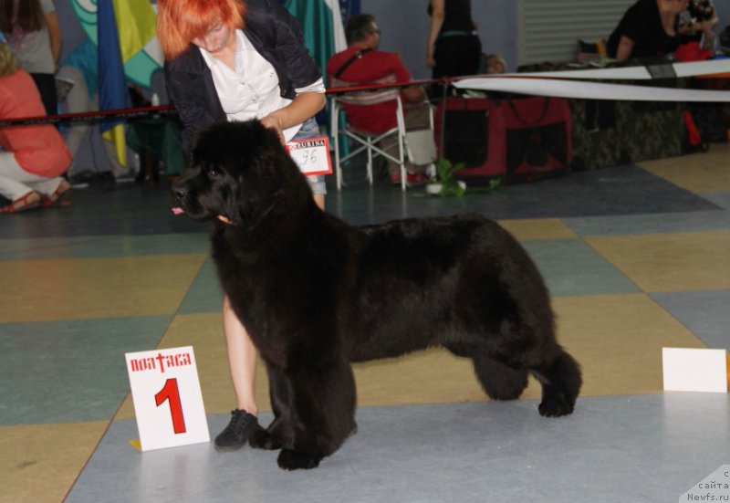 Фотография № 157981