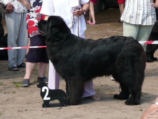 Фотография № 15799