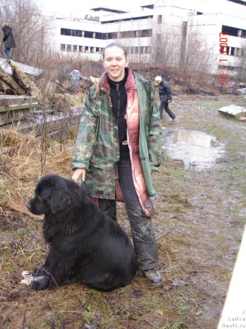 Фото: ньюфаундленд Норт Фэйс Лаванда, Татьяна Розанова