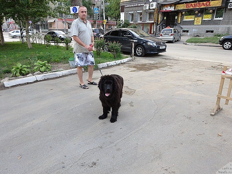 Фотография № 158047