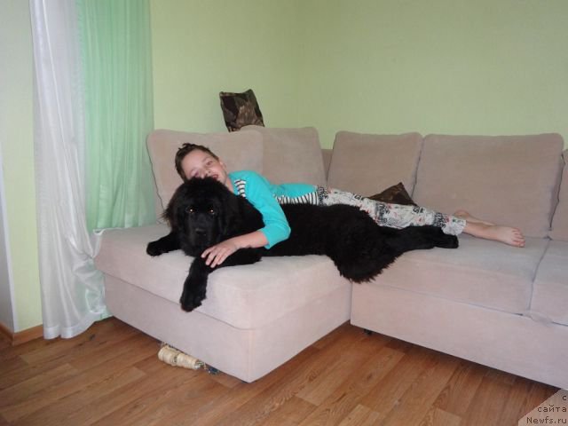 Фотография № 158048