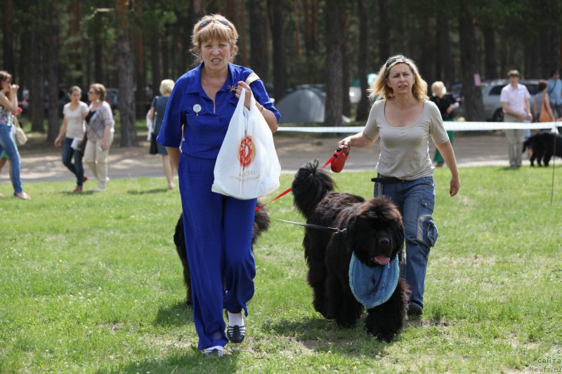 Фотография № 158051