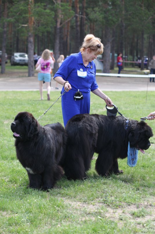 Фотография № 158052