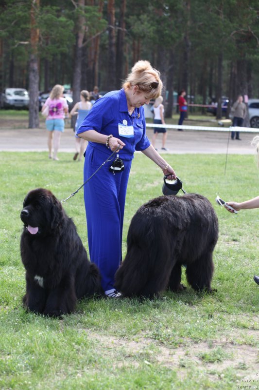 Фотография № 158053