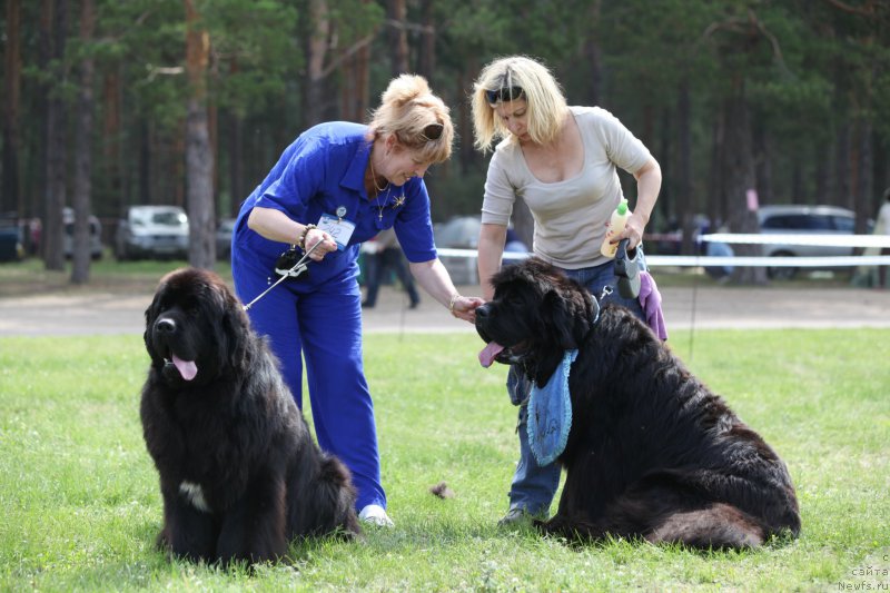 Фотография № 158054