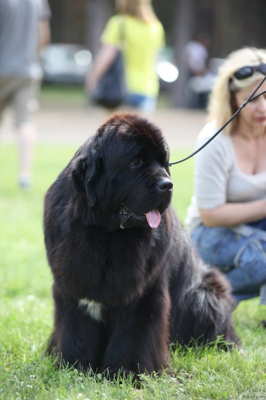 Фотография № 158058