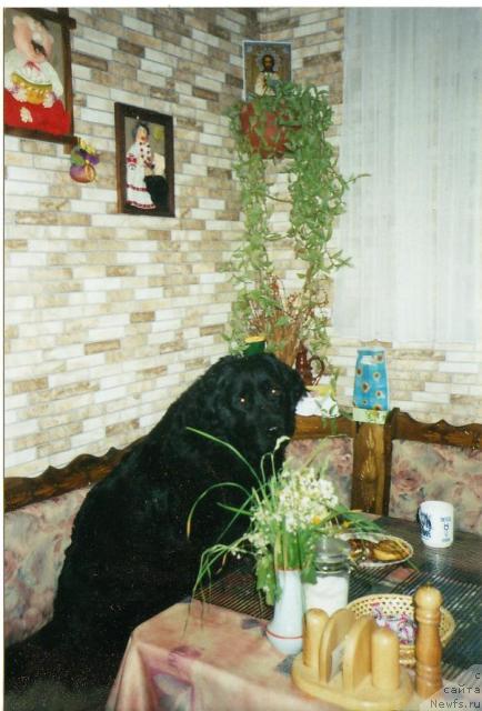 Фото: Татьяна Ушакова