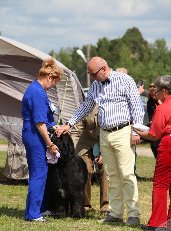 Фотография № 158062