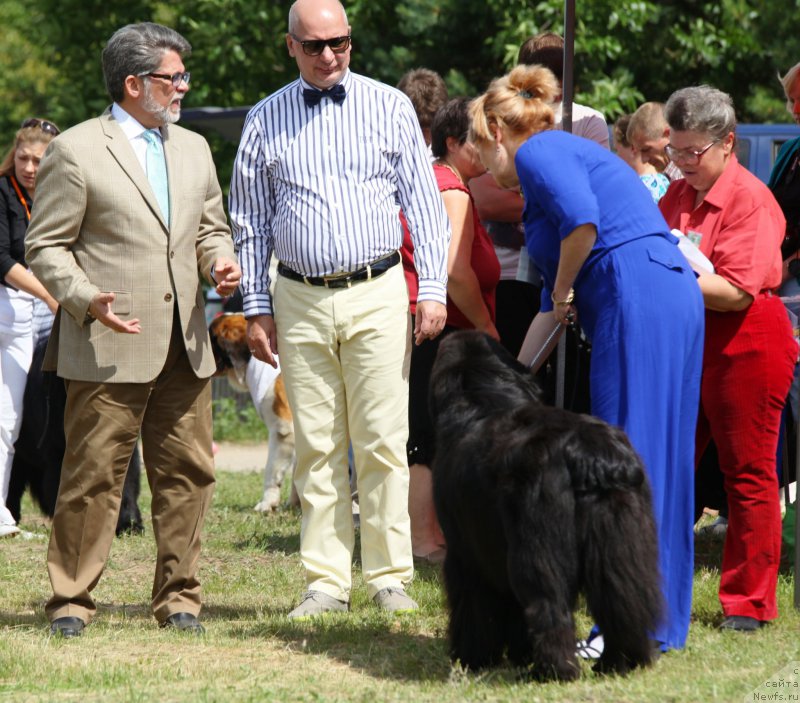 Фотография № 158065